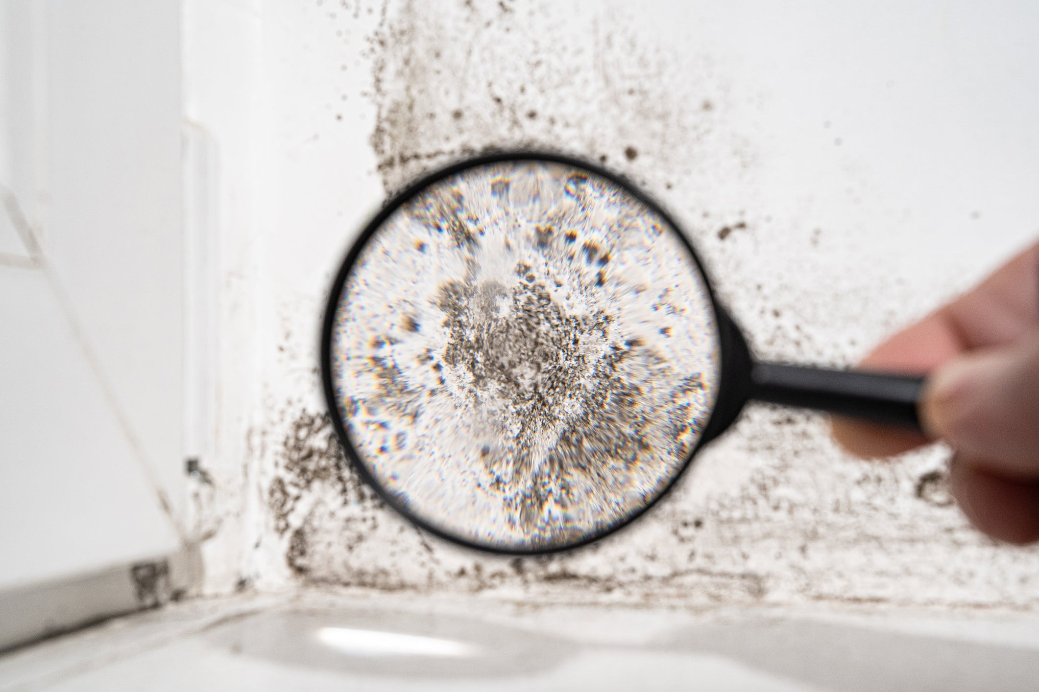 Looking through a magnifying glass at mould.